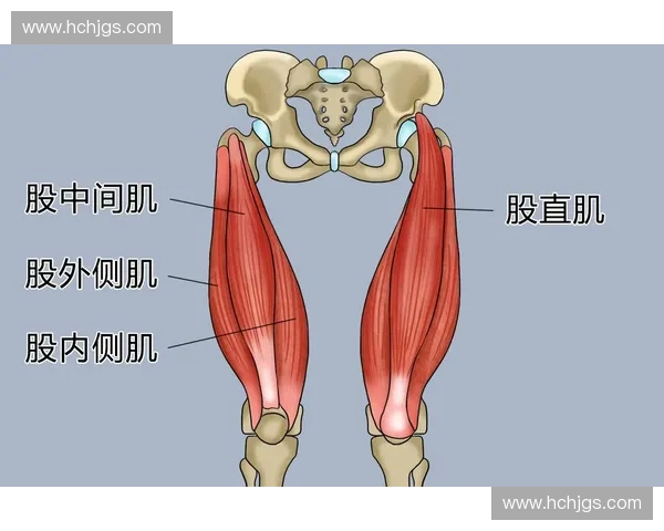 股四头肌紧张引发的运动损伤及康复训练全解析
